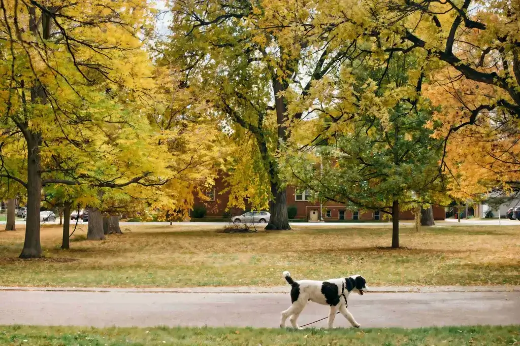 oct242025 1a3a0008 1